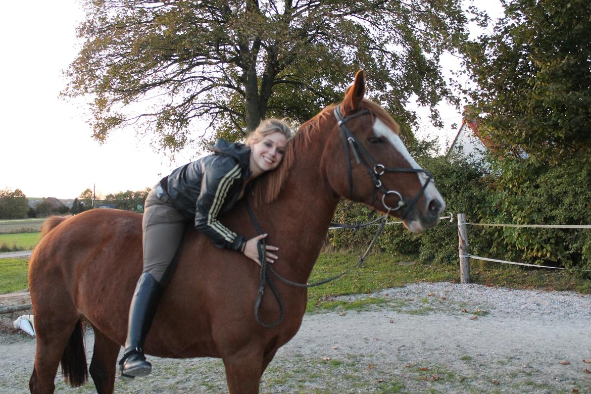 Anden særlig race Isabella (Issa) <3 Solgt :'( billede 8