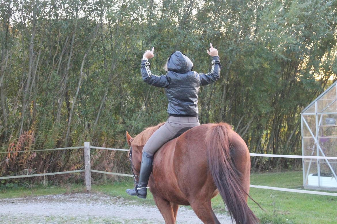 Anden særlig race Isabella (Issa) <3 Solgt :'( - farvel.. billede 33