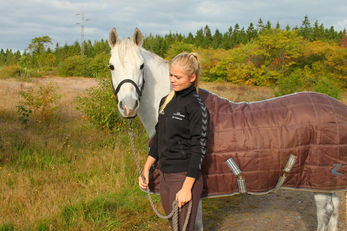 Welsh Pony (sec B) Bakkegaarden's Oliver - Sidste dag med Oliver, 6/10-13 billede 11