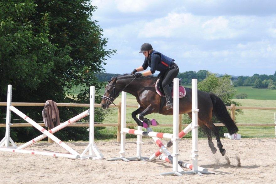 Anden særlig race Thyra billede 13