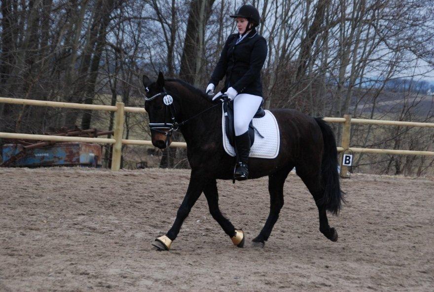 Anden særlig race Thyra billede 15