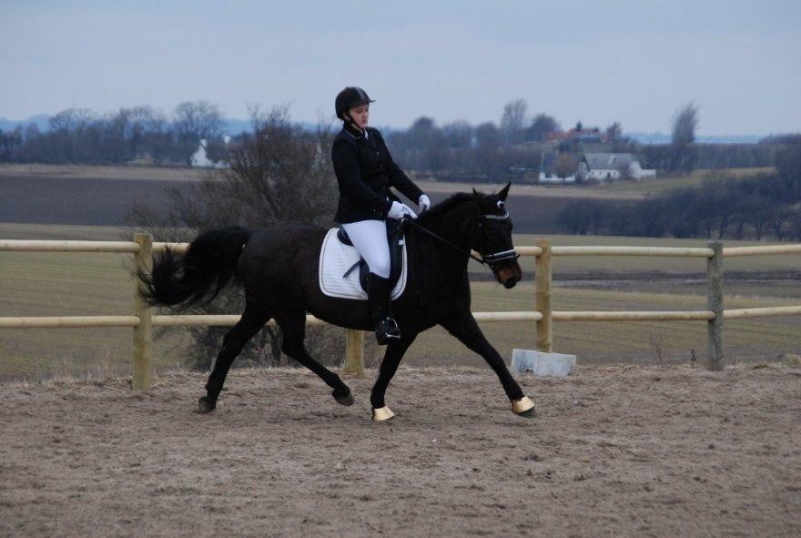 Anden særlig race Thyra billede 16