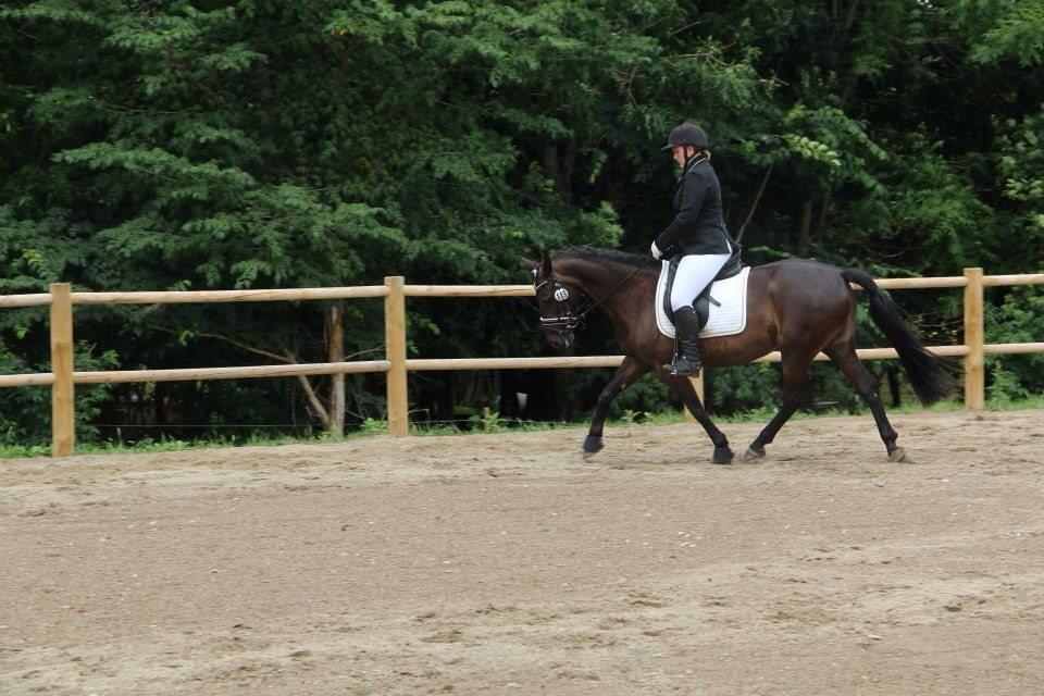 Anden særlig race Thyra billede 17