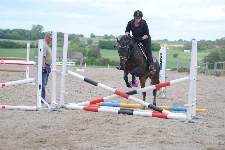 Anden særlig race Thyra billede 18