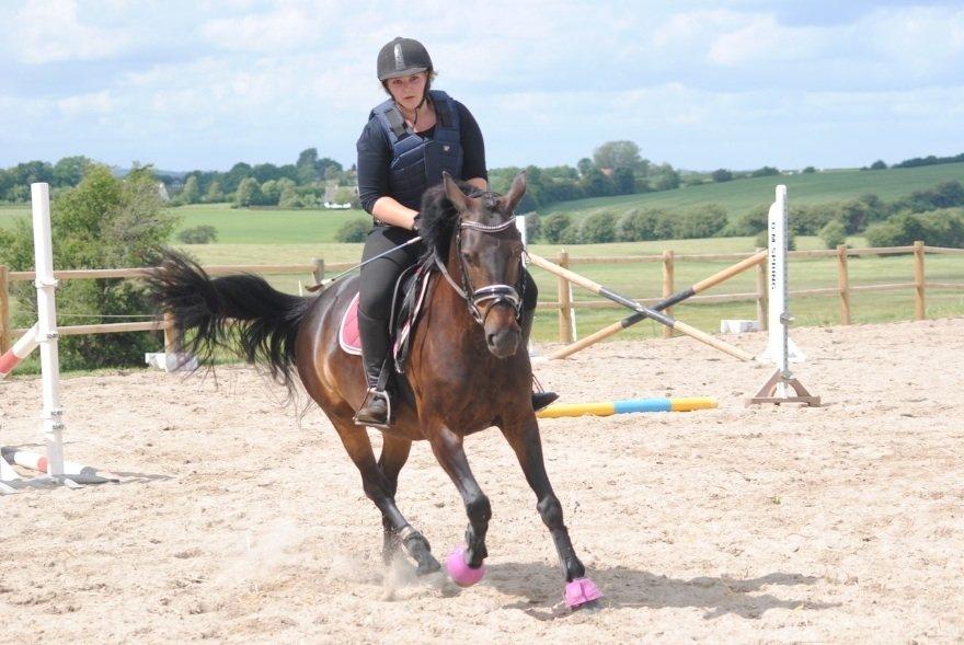 Anden særlig race Thyra billede 19