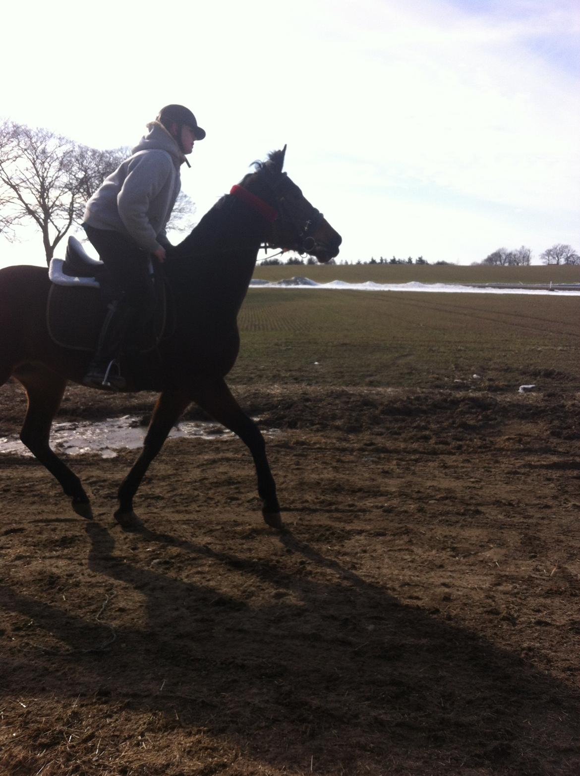 Traver Only Epice - min veninde christina hansen der rider hende!<3 billede 1