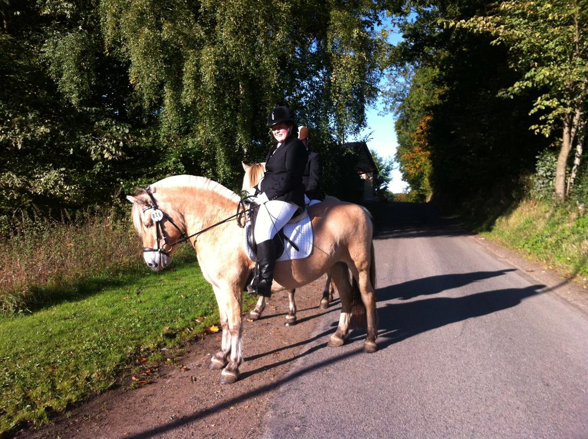 Fjordhest Hjorthøj´s Note - til vores første stævne billede 14