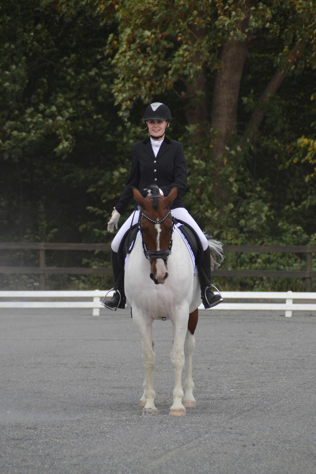 Pinto Cianette (Cia) - klubstævne LA1. red til 65%<3 billede 19