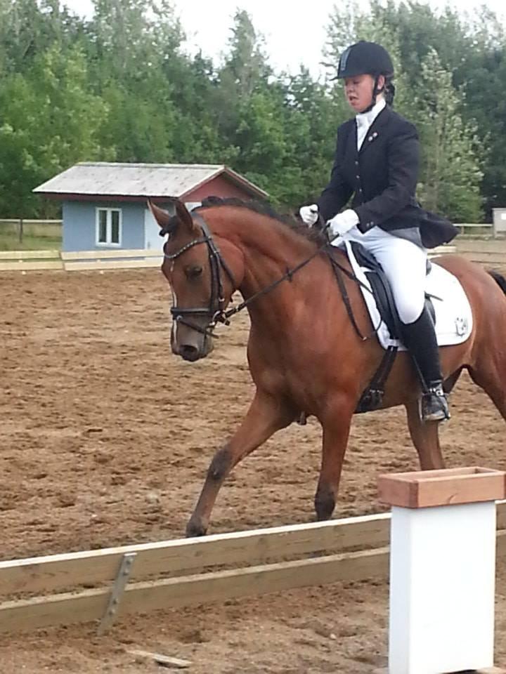 DSP Storgaards Amadeus billede 14