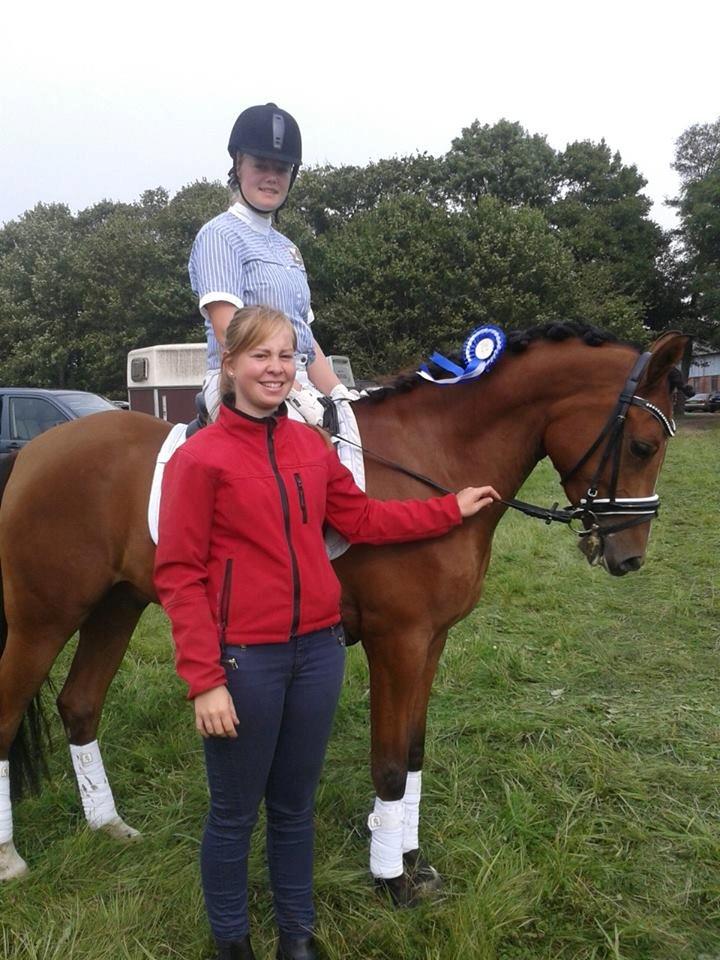 DSP Storgaards Amadeus billede 16