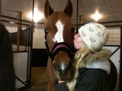 Anden særlig race Luca billede 1