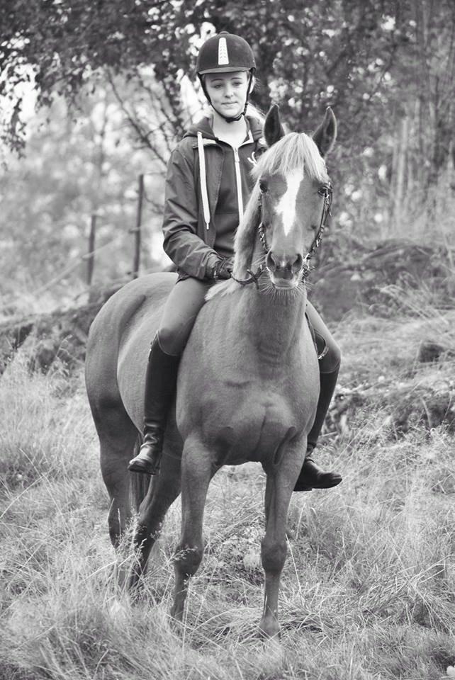 Anden særlig race Luca billede 2
