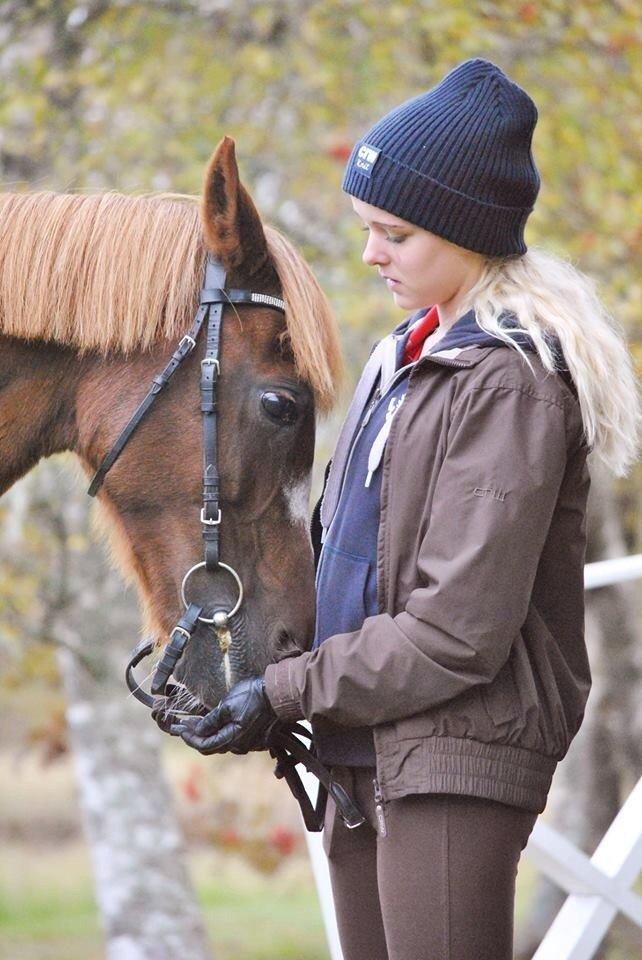 Anden særlig race Luca billede 3