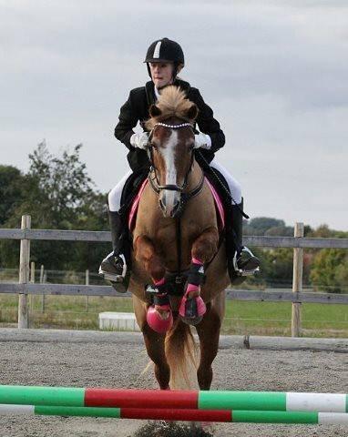 New Forest Folehaves Nathali * klubmester i spring 2013* - Nyt klubmesterskab 2013 Taget af: Camilla Rosenlund  billede 19