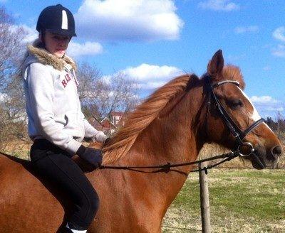 Anden særlig race Luca billede 7