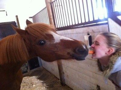 Anden særlig race Luca billede 12