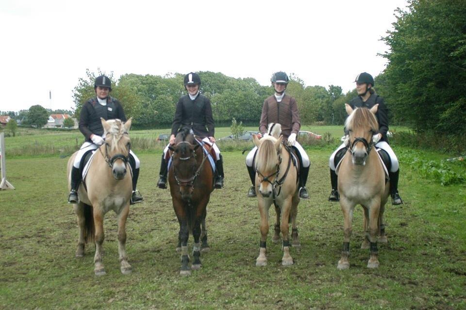 Fjordhest Farmens Elliot - Holdet fra holdspringningen på BSRC den 15/9-13 :) billede 20