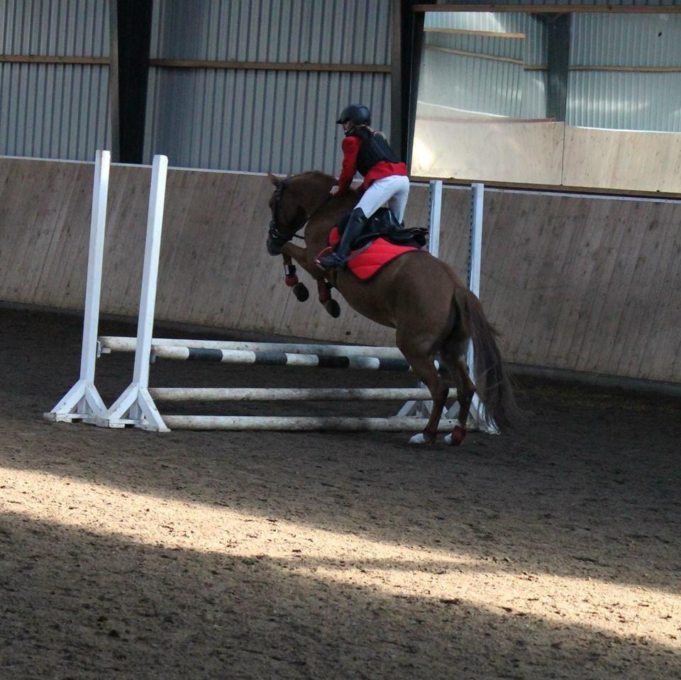 DSP Martini asti billede 16