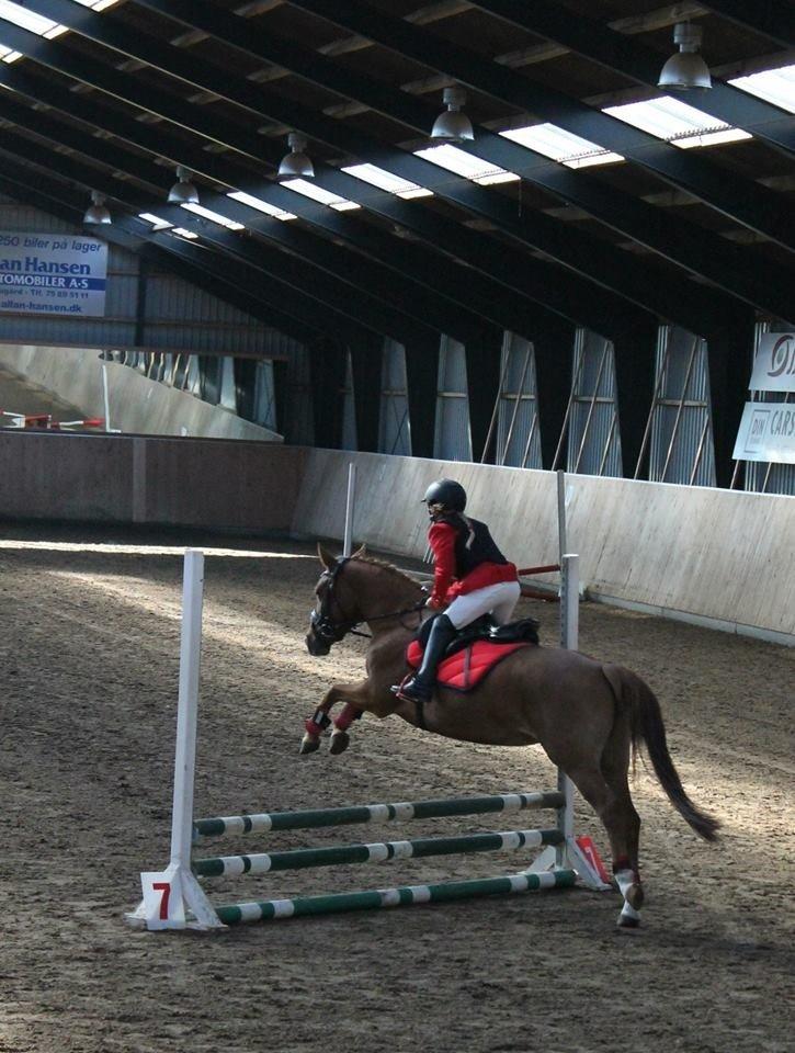 DSP Martini asti billede 18