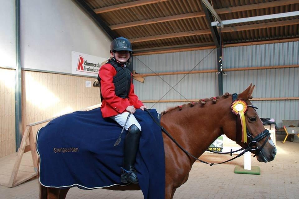 DSP Martini asti billede 19