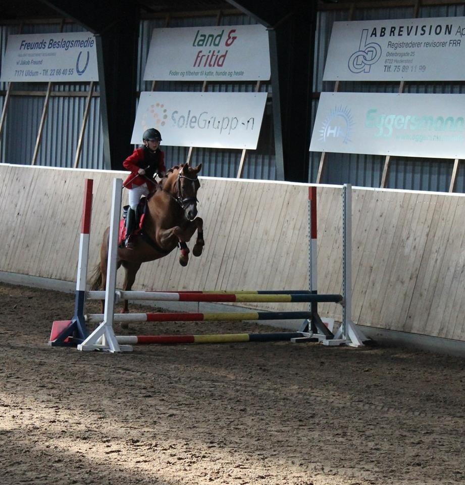 DSP Martini asti billede 20