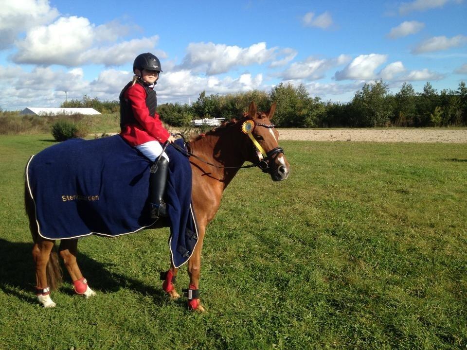 DSP Martini asti billede 21