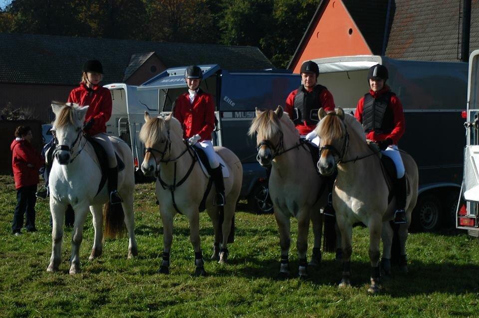 Fjordhest Farmens Elliot - Tidselholdt med de seje fjordheste :D billede 3