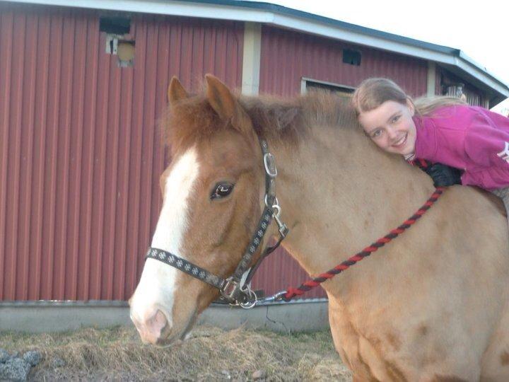 New Forest Beacon Sun <3R.I.P<3 billede 1