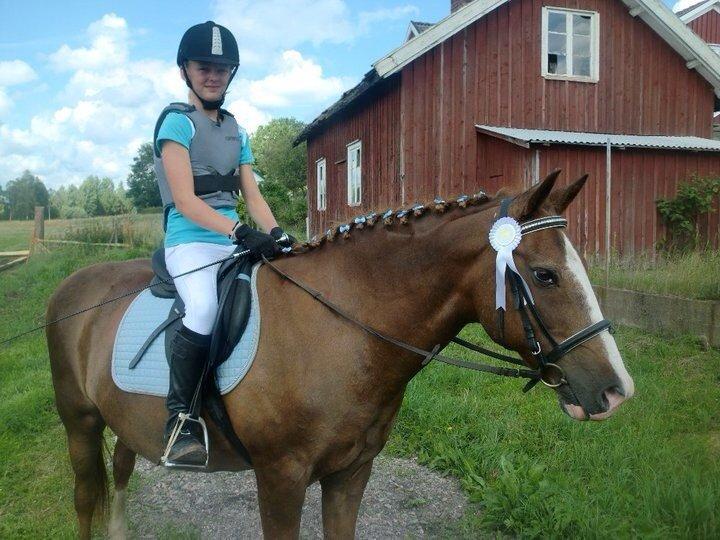 New Forest Beacon Sun <3R.I.P<3 billede 5