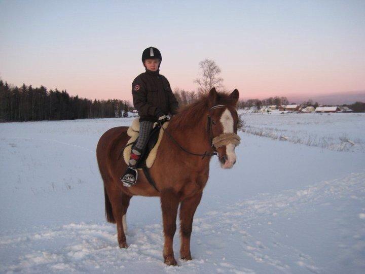 New Forest Beacon Sun <3R.I.P<3 billede 6