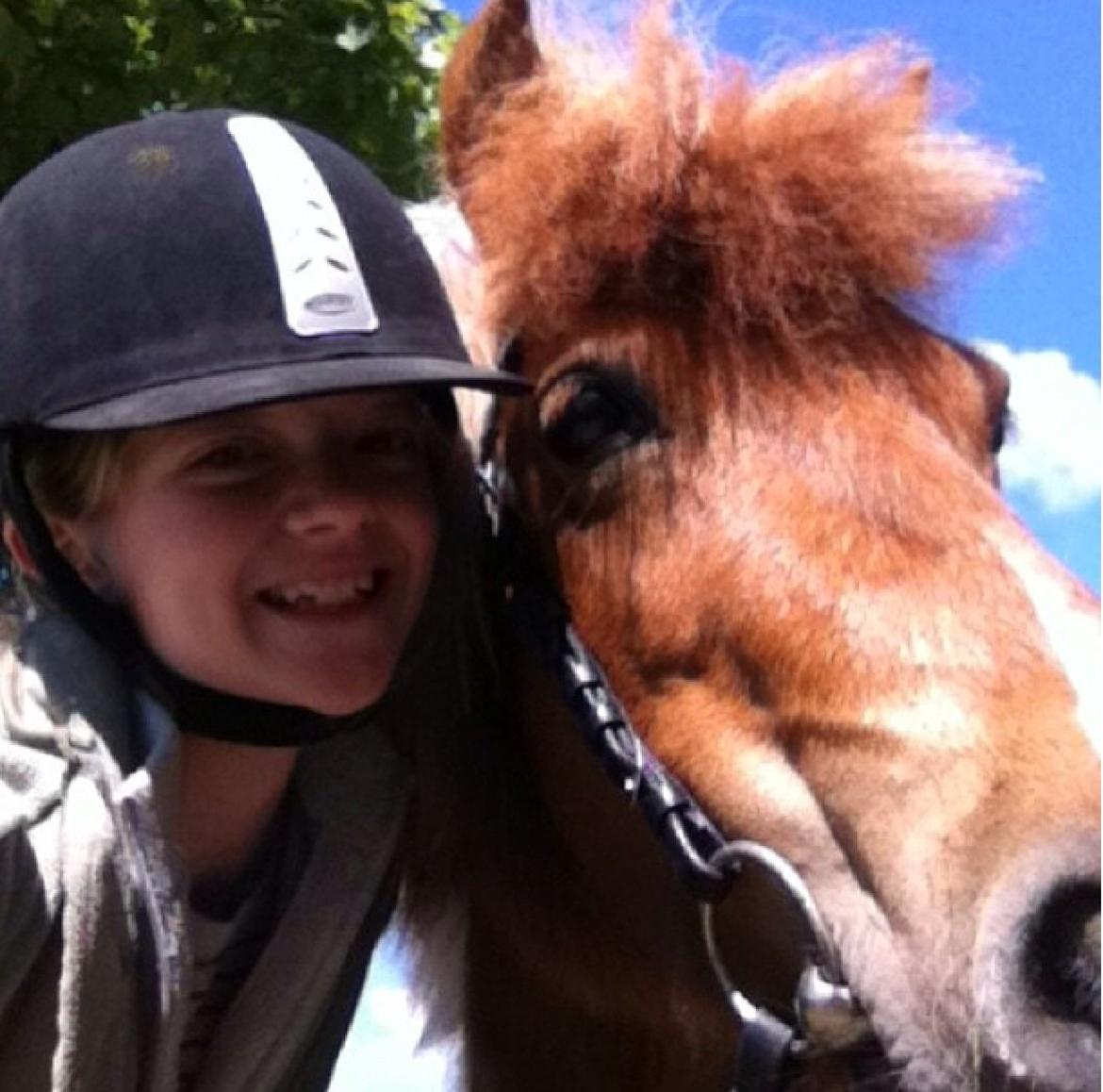 Shetlænder Rita billede 2