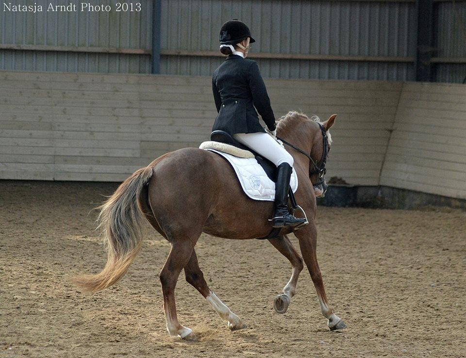 New Forest Firfod Flittiglize billede 25