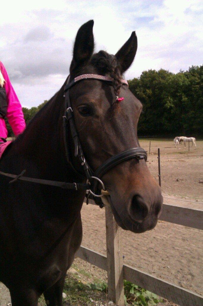 Anden særlig race Magic Malou <3<3 billede 3