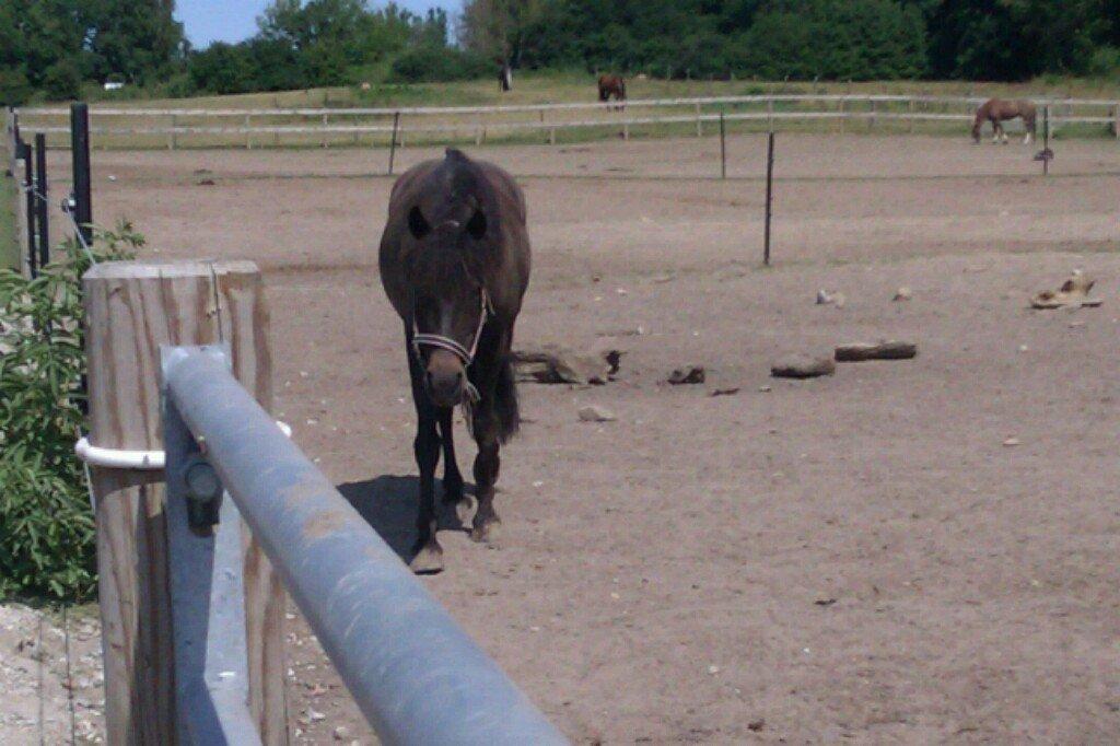 Anden særlig race Magic Malou <3<3 billede 13