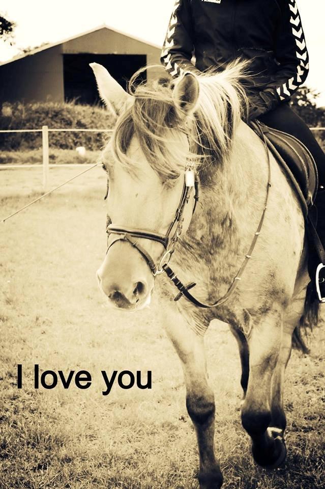 Anden særlig race Bamseline! <3 - I Love You! <3 
<br>
<br>
Foto: Sofie <3 billede 2