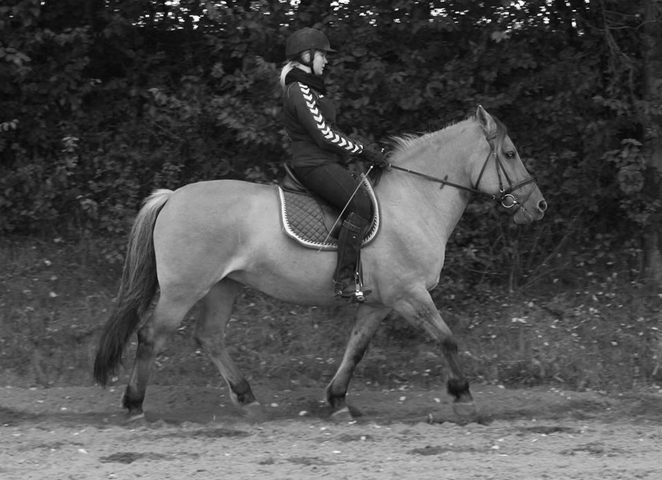 Anden særlig race Bamseline! <3 - My One And Only Bamseline! <3 :')
<br>
<br>
Foto: Sofie<3 billede 19