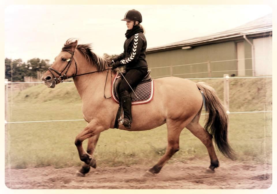 Anden særlig race Bamseline! <3 - Du min bedste ven! <3
<br>
<br>
Foto: Sofie <3 billede 16