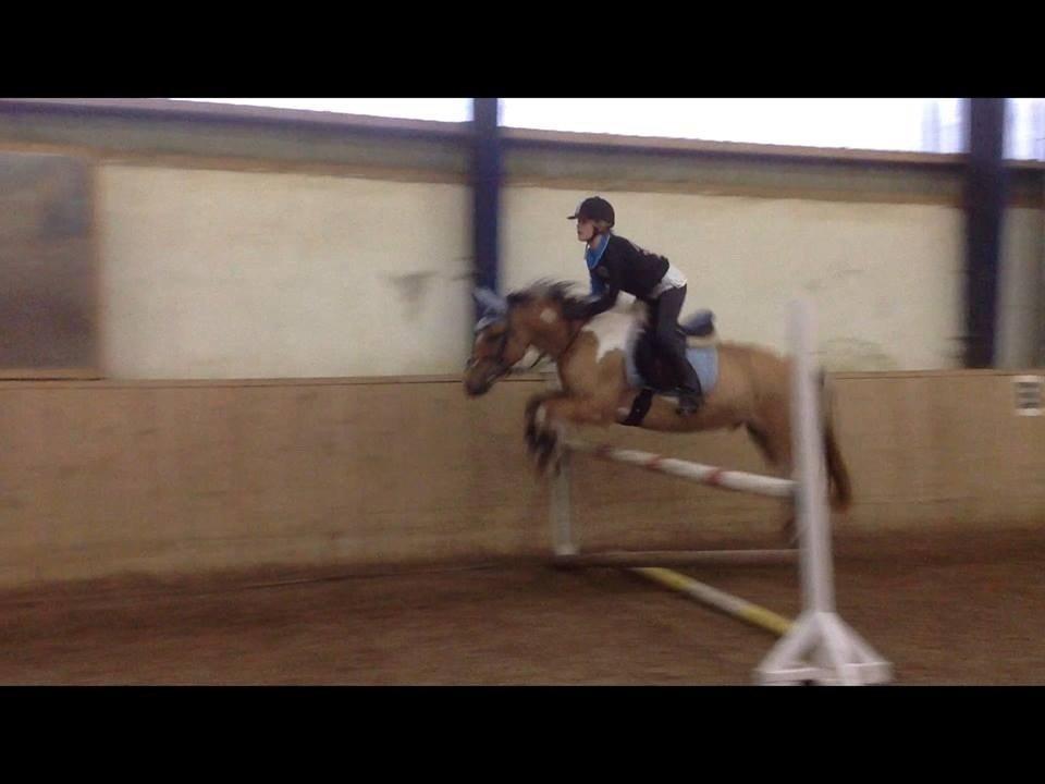 Hollandsk Sportspony Capello ivo - When I see your face
There's not a thing that I would change
Cause you're amazing
Just the way you are :')♥.
 billede 13