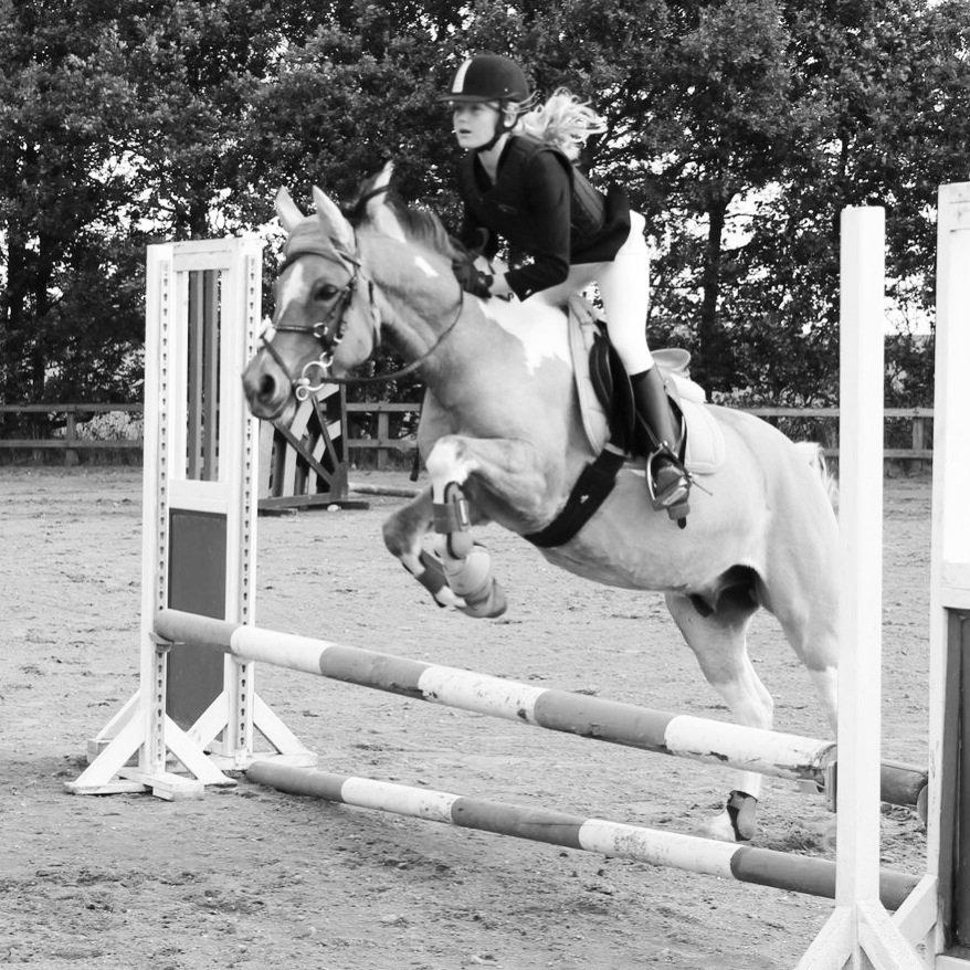 Hollandsk Sportspony Capello ivo - Hvis kærligheden kun er en drøm, så til helvede med virkeligheden'
 billede 14