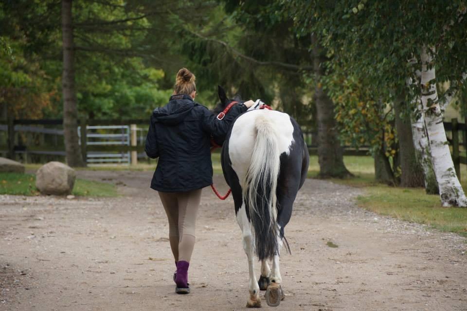 Anden særlig race Lundsbjergårds Indi billede 19