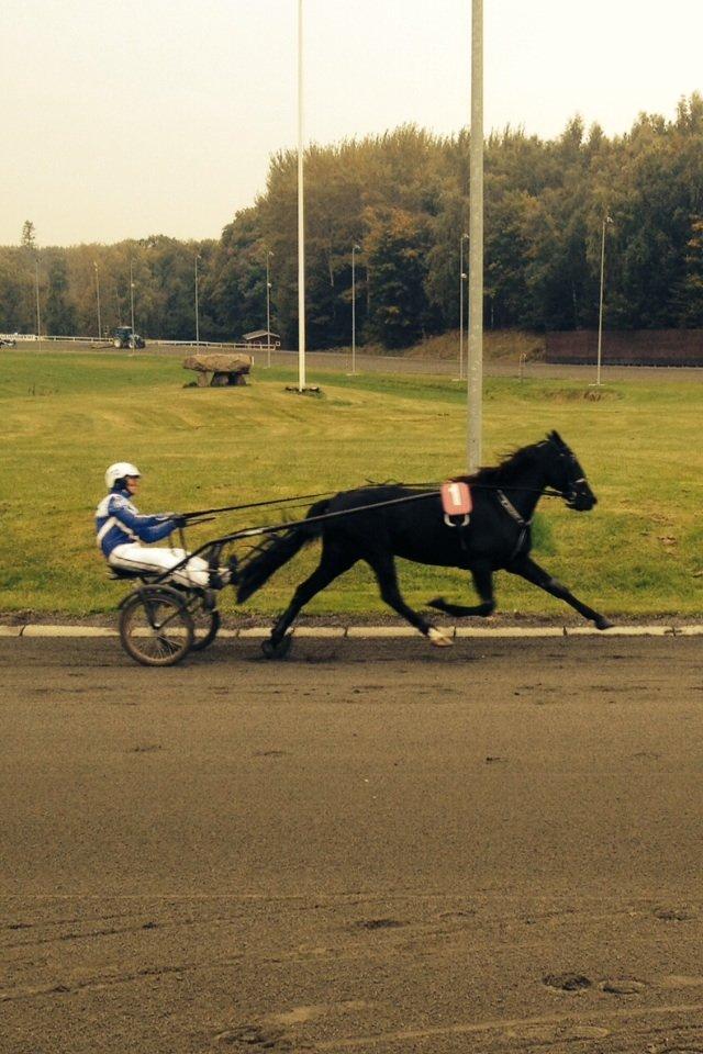 Traver Silas billede 7