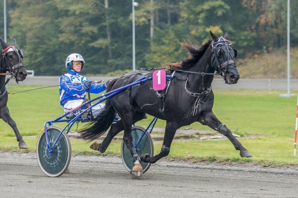 Traver Silas billede 8