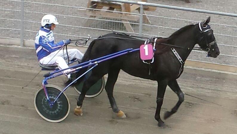 Traver Silas billede 9