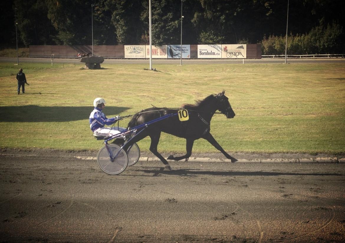 Traver Silas billede 10