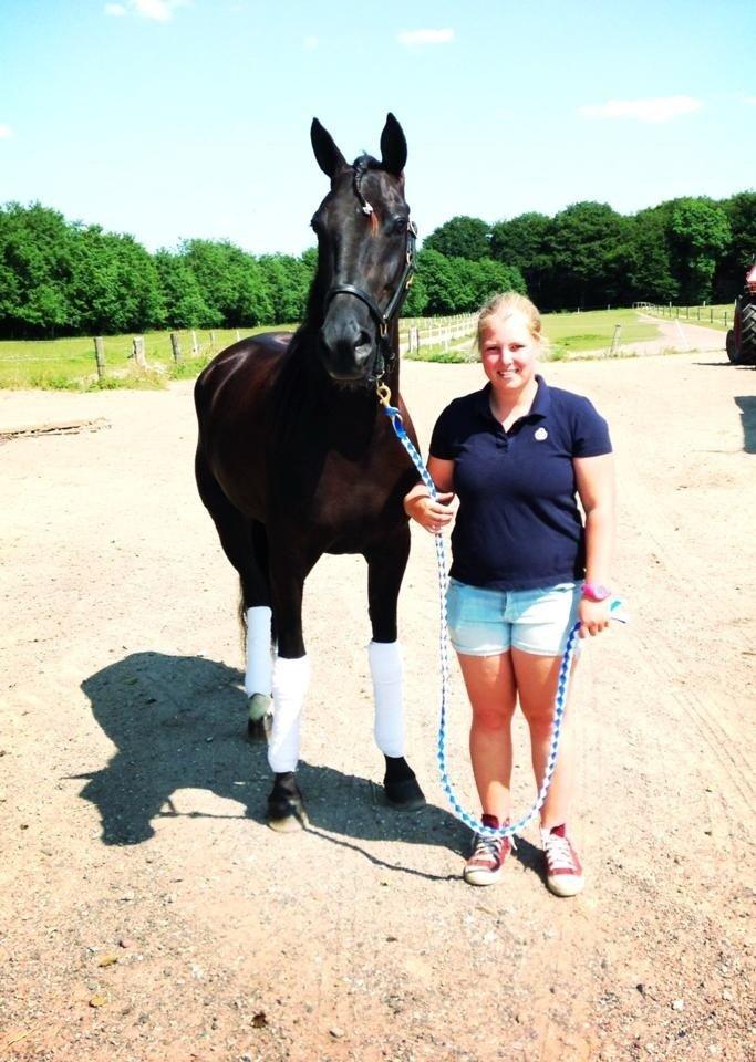 Traver Silas billede 11