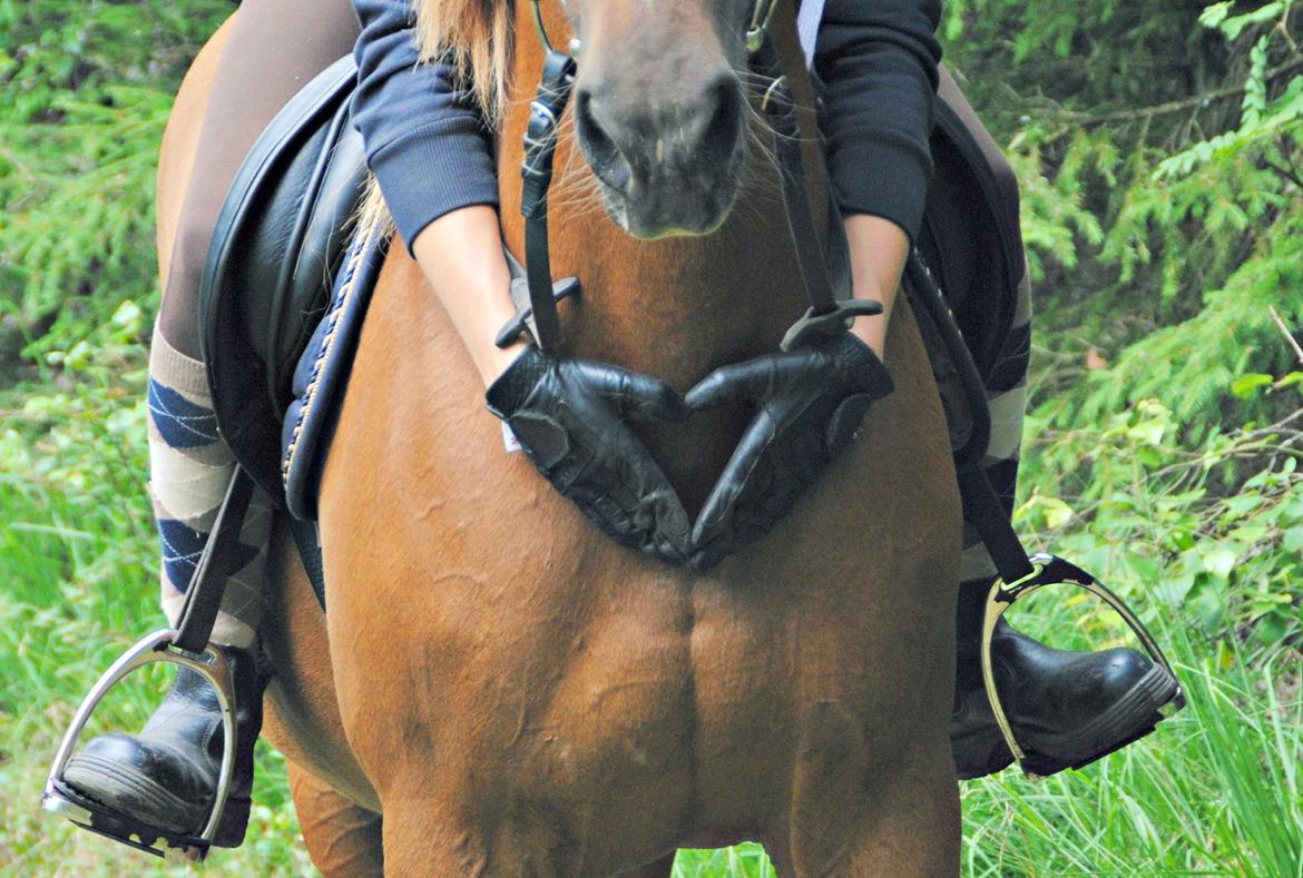 Anden særlig race Luca billede 15