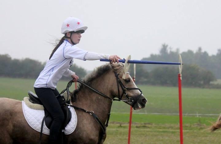 Hollandsk Sportspony Silvera - Leo Cup 2013 - Første stævne billede 6