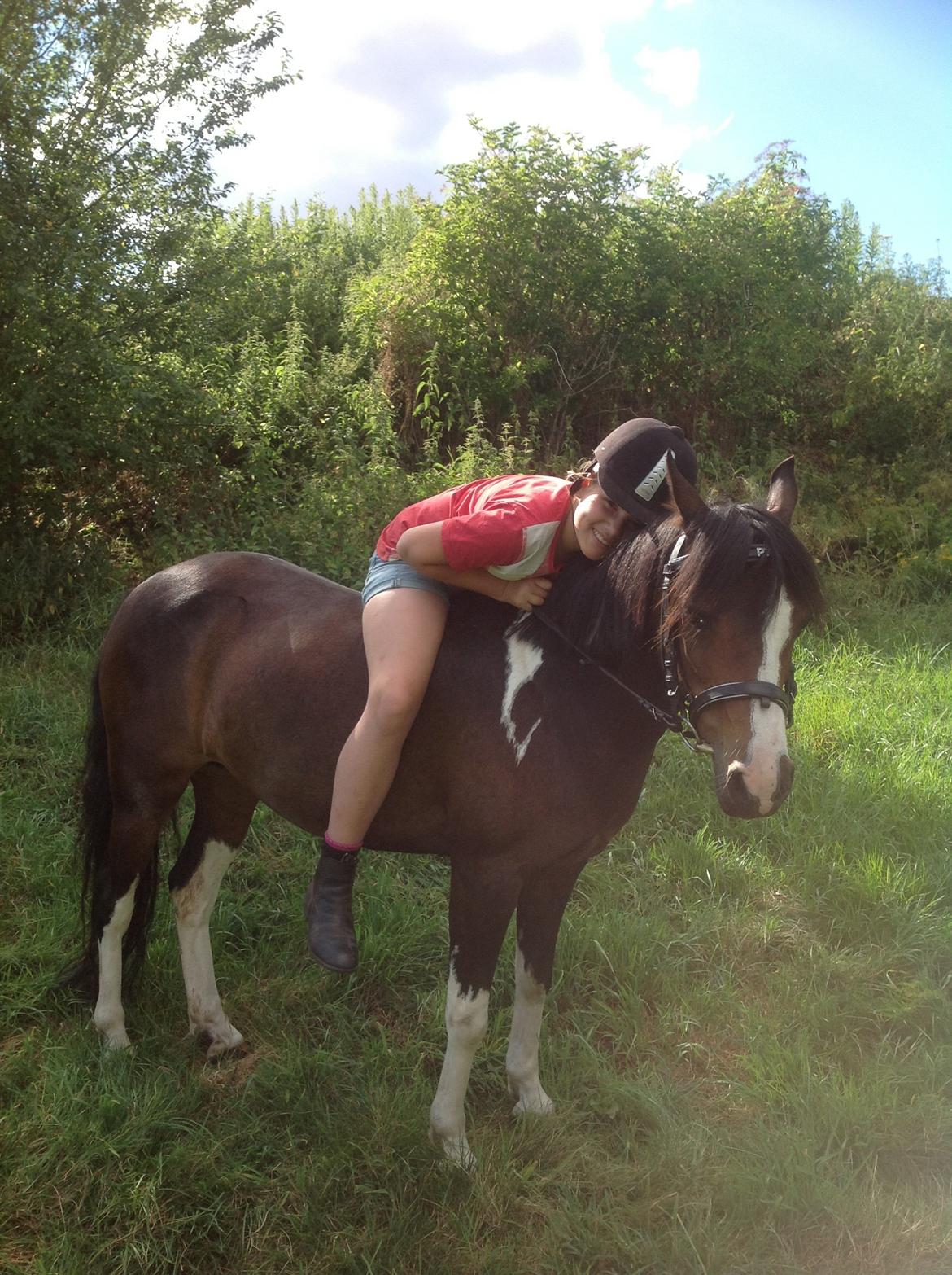 Pinto Mørkbaks pyia<3 - i love you smukke du er 
alt billede 2