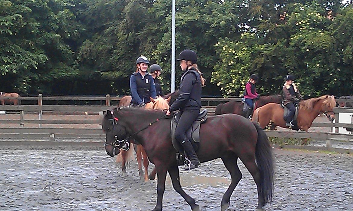 Islænder Hrekkur fra Helgenæs - Ude at ride med vennerne på banen<3 billede 12
