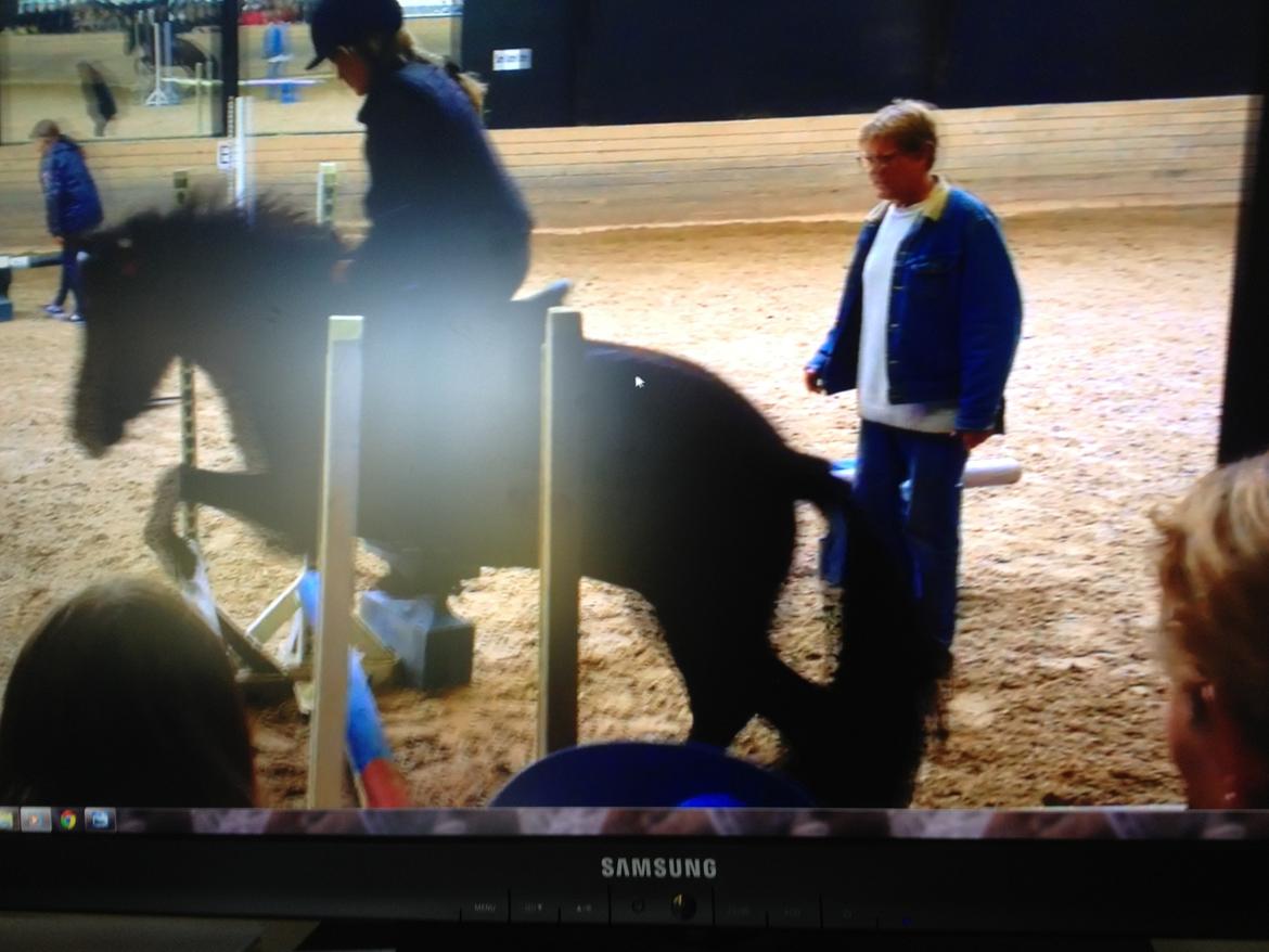 Islænder Hrekkur fra Helgenæs - undskyld dårlig kvalitet:-) her kan man se at vi ikke er de perfekte springere xD billede 15